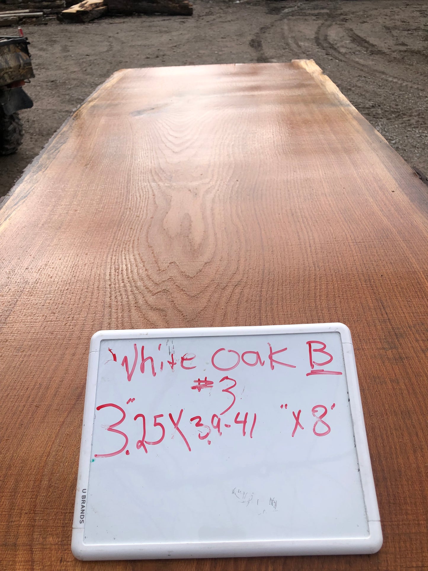 White Oak B 0223233