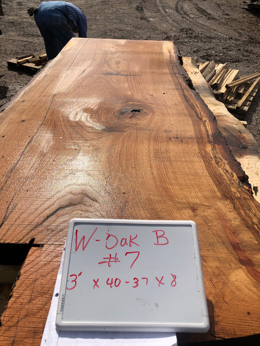 White Oak 0223237