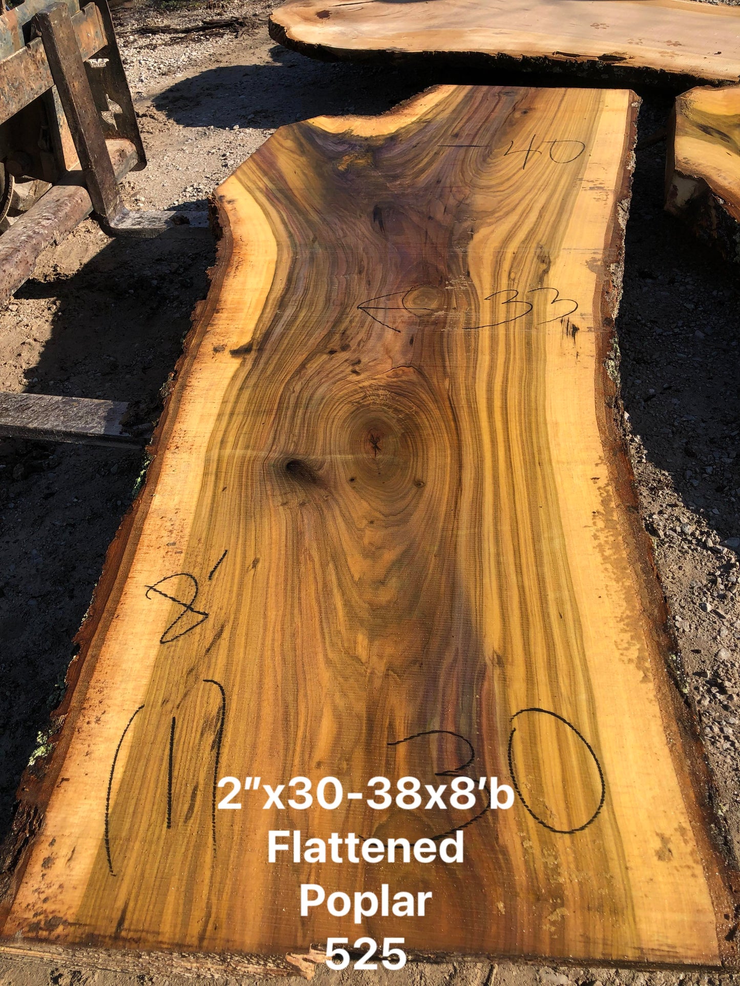 Poplar 082823