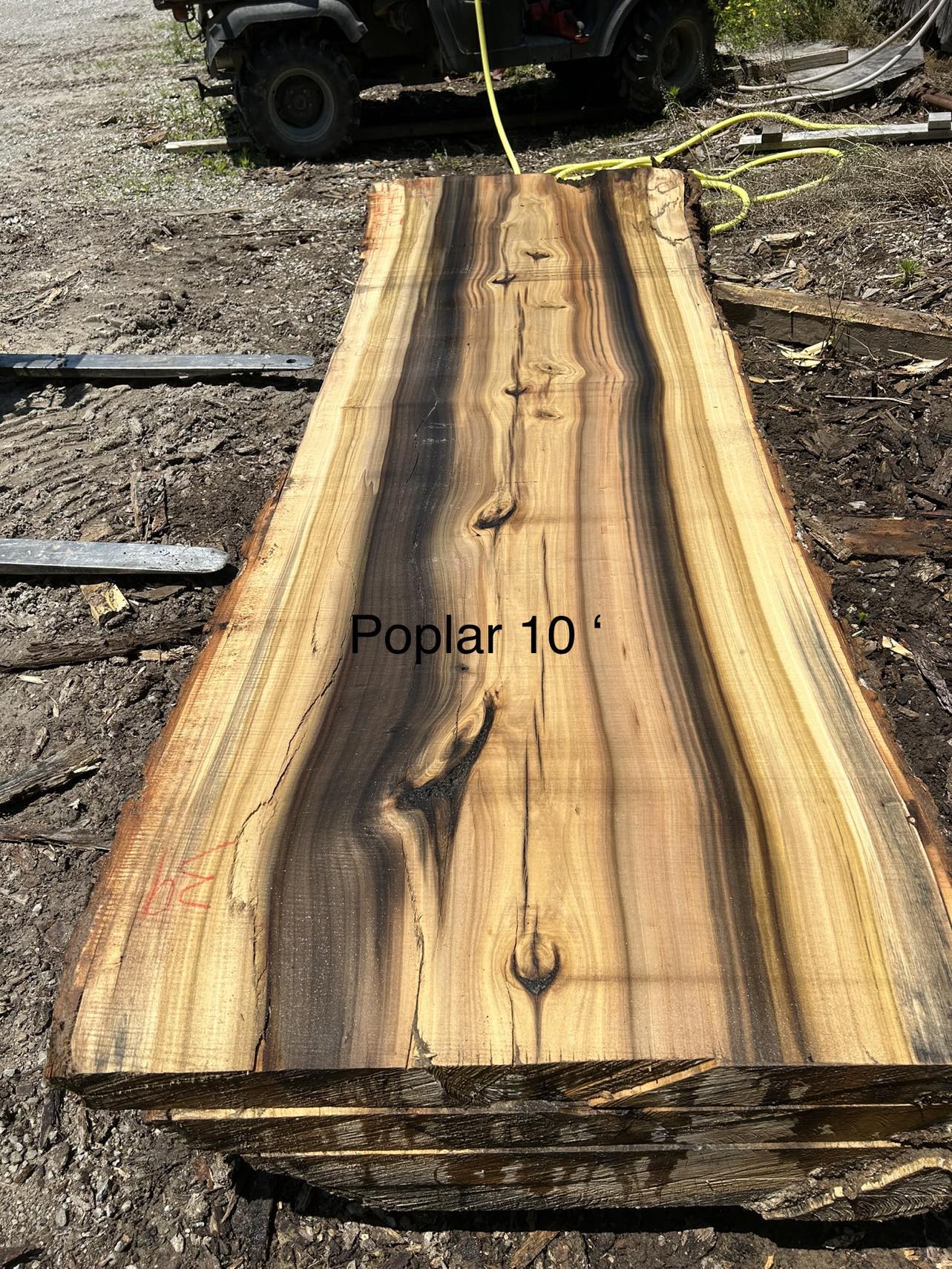 POPLAR 4