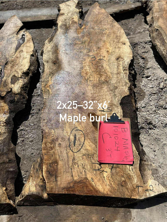 BM1 101024