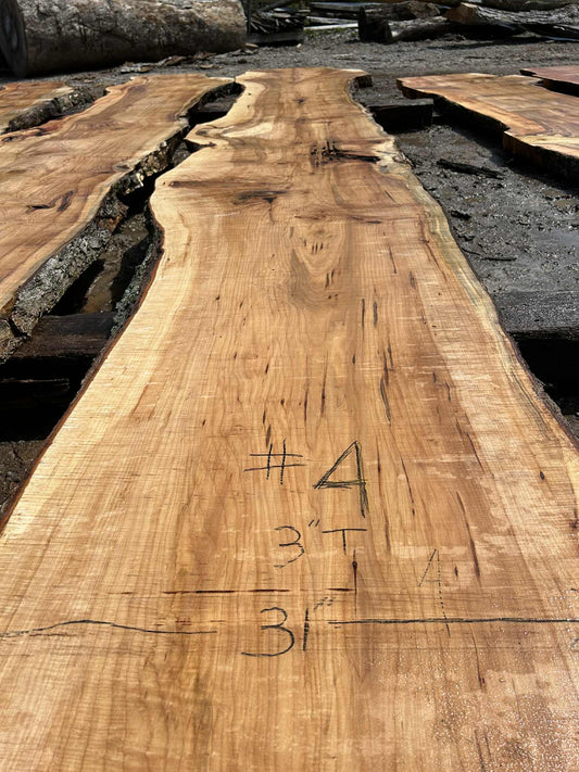 M4 032124 Maple