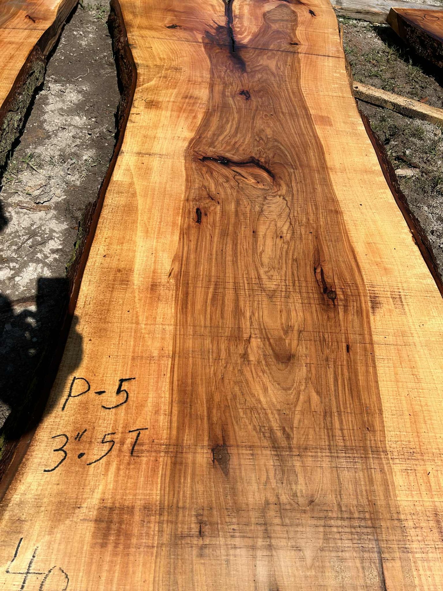 P5 052124
