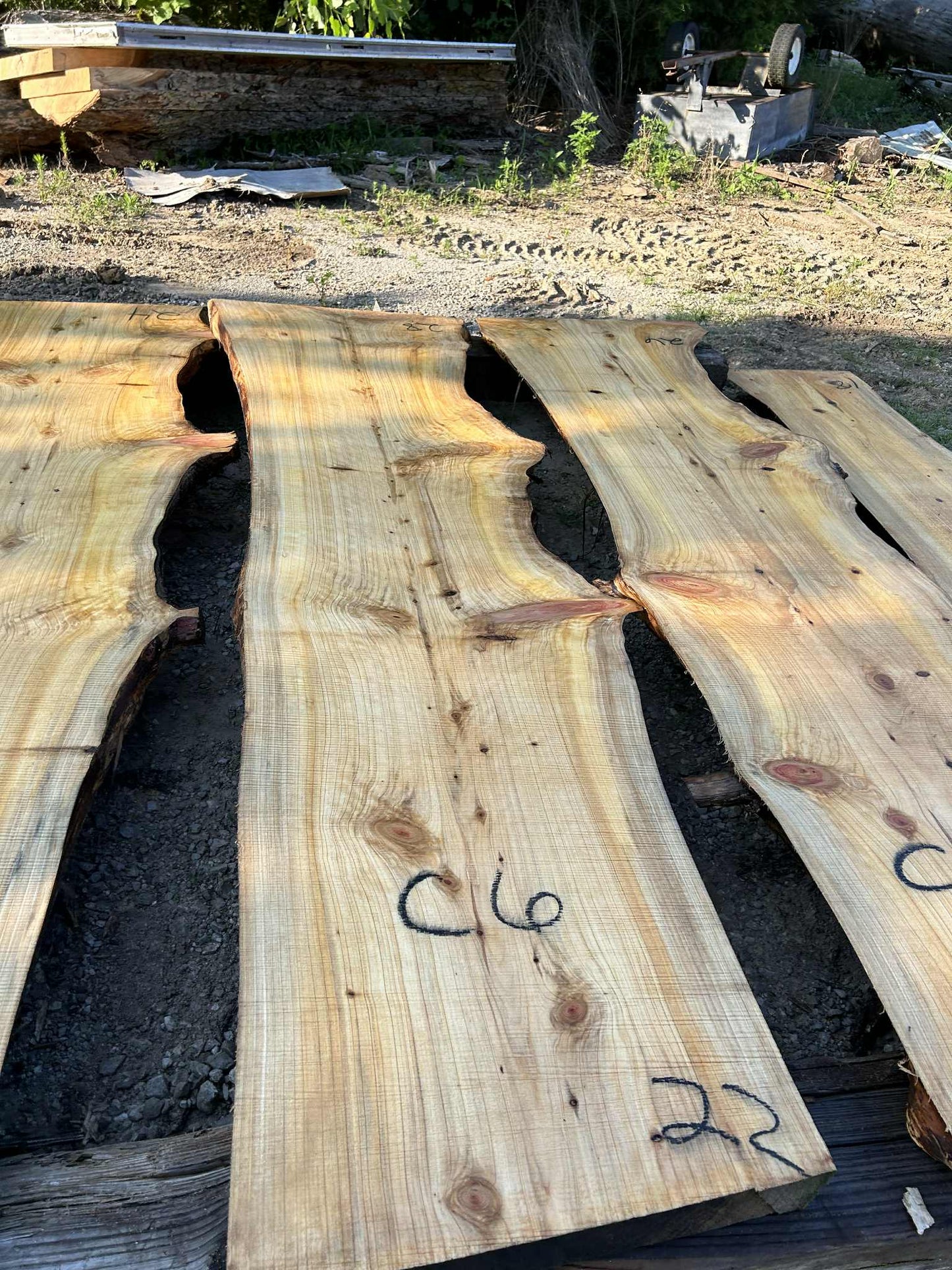 C6 052124 Cypress