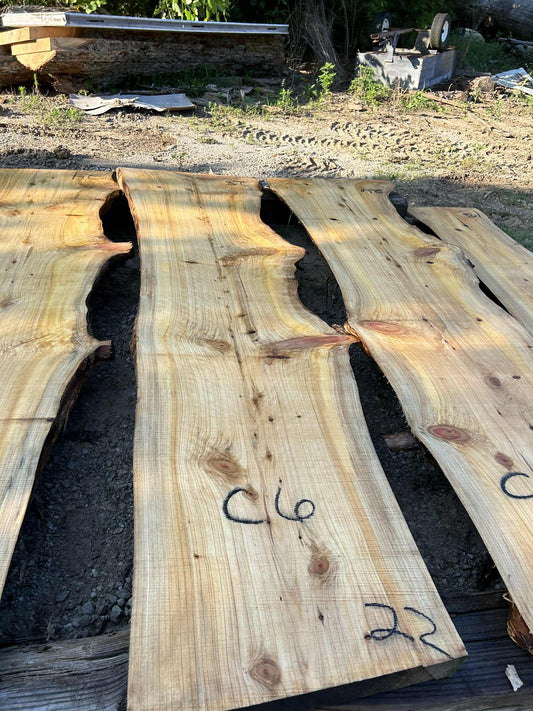 C6 052124 Cypress