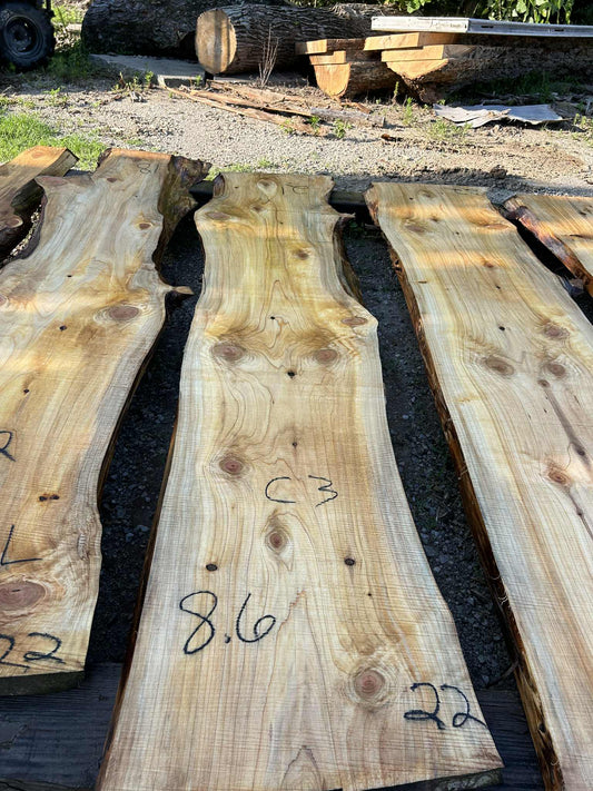C3 052124 Cypress