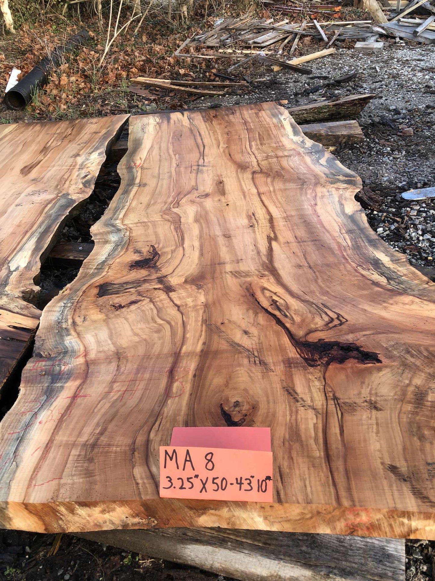 MA8 Maple