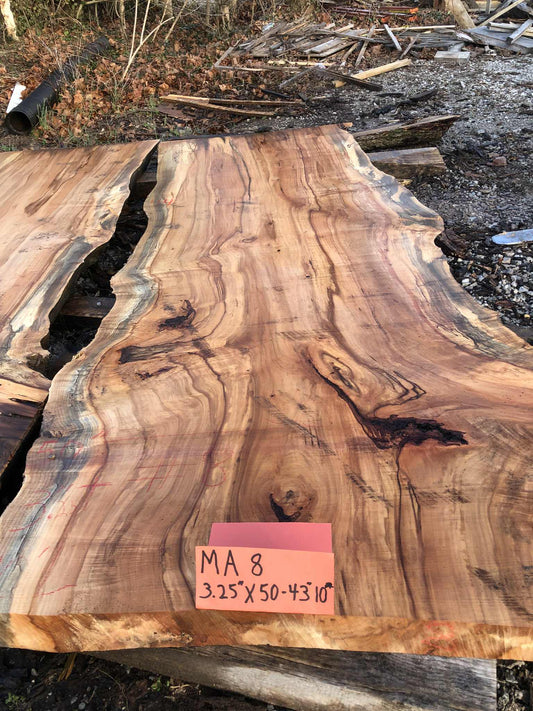 MA8 Maple