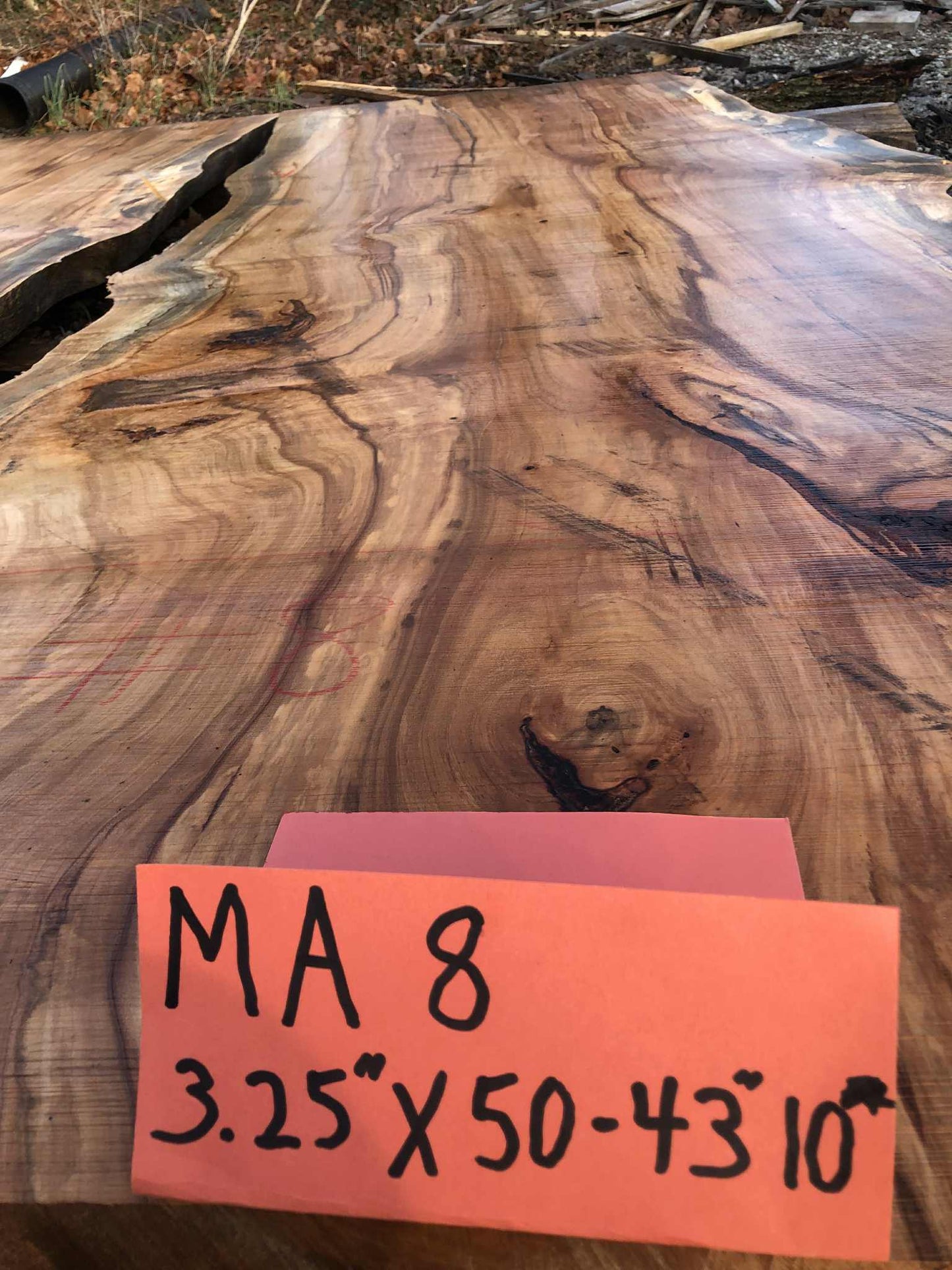 MA8 Maple