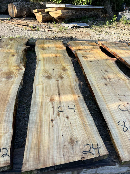 C4 052124 Cypress